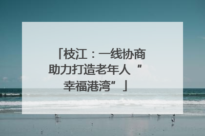 枝江：一线协商助力打造老年人“幸福港湾”