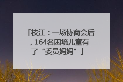 枝江：一场协商会后，164名困境儿童有了“委员妈妈”