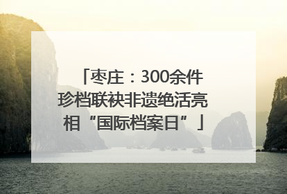 枣庄：300余件珍档联袂非遗绝活亮相“国际档案日”