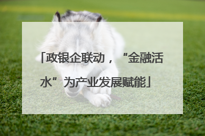政银企联动，“金融活水”为产业发展赋能