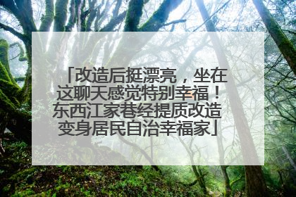 改造后挺漂亮，坐在这聊天感觉特别幸福！东西江家巷经提质改造变身居民自治幸福家