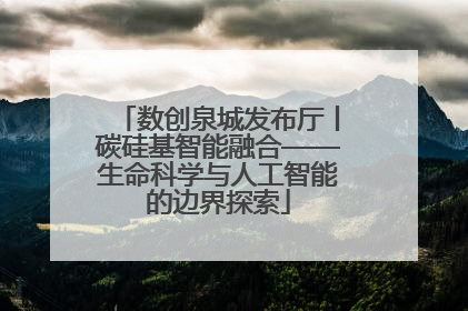数创泉城发布厅丨碳硅基智能融合——生命科学与人工智能的边界探索