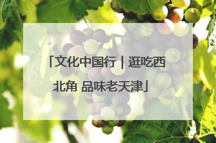 文化中国行｜逛吃西北角 品味老天津