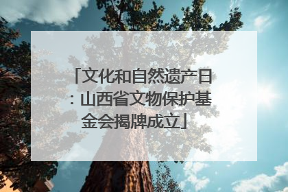 文化和自然遗产日：山西省文物保护基金会揭牌成立