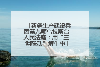 新疆生产建设兵团第九师乌拉斯台人民法庭：用“三调联动”解牛事