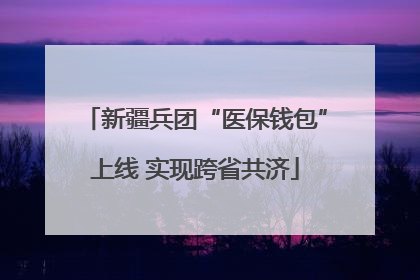 新疆兵团“医保钱包”上线 实现跨省共济