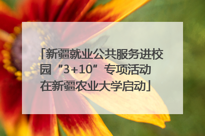 新疆就业公共服务进校园“3+10”专项活动在新疆农业大学启动