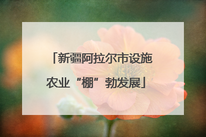 新疆阿拉尔市设施农业“棚”勃发展