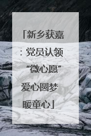 新乡获嘉：党员认领“微心愿” 爱心圆梦暖童心