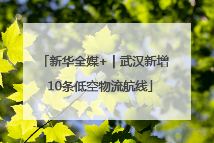 新华全媒+｜武汉新增10条低空物流航线