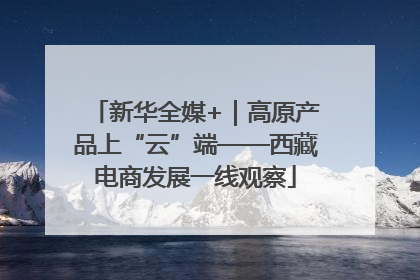 新华全媒+｜高原产品上“云”端——西藏电商发展一线观察