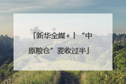 新华全媒+丨“中原粮仓”麦收过半