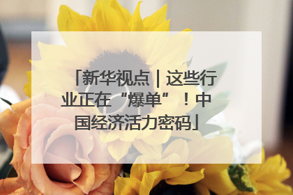 新华视点｜这些行业正在“爆单”！中国经济活力密码