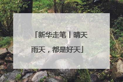 新华走笔丨晴天雨天，都是好天