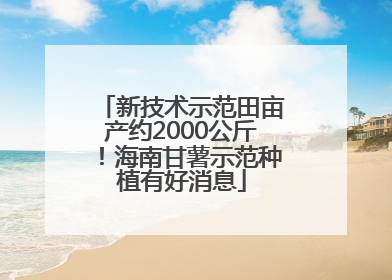新技术示范田亩产约2000公斤！海南甘薯示范种植有好消息