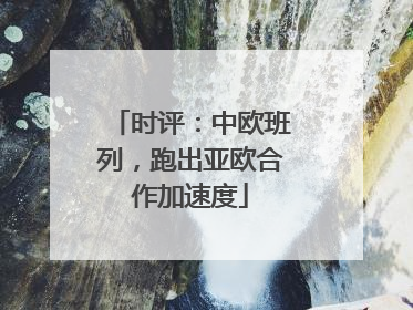 时评：中欧班列，跑出亚欧合作加速度