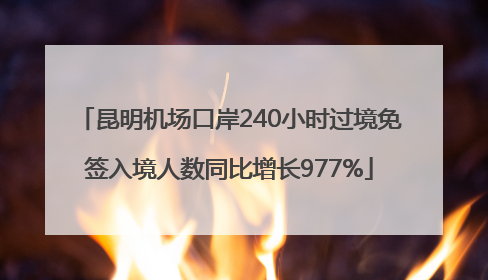 昆明机场口岸240小时过境免签入境人数同比增长977%