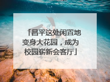 昌平这处闲置地变身大花园，成为校园崭新会客厅