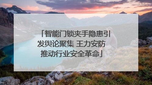 智能门锁夹手隐患引发舆论聚集 王力安防推动行业安全革命