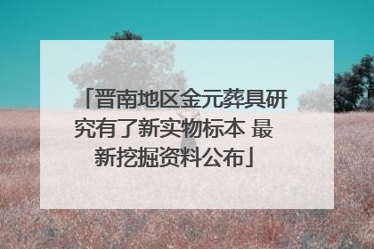 晋南地区金元葬具研究有了新实物标本 最新挖掘资料公布