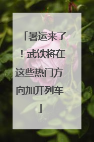 暑运来了！武铁将在这些热门方向加开列车