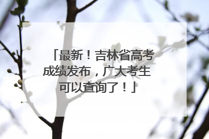最新！吉林省高考成绩发布，广大考生可以查询了！