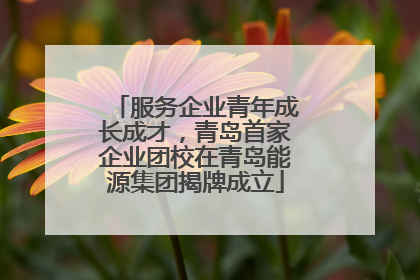 服务企业青年成长成才，青岛首家企业团校在青岛能源集团揭牌成立
