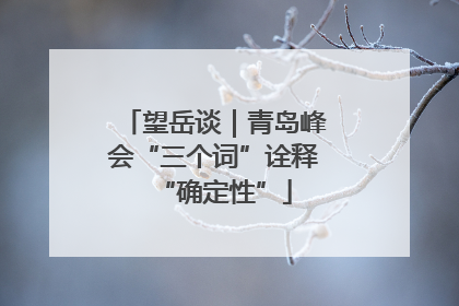 望岳谈｜青岛峰会“三个词”诠释“确定性”