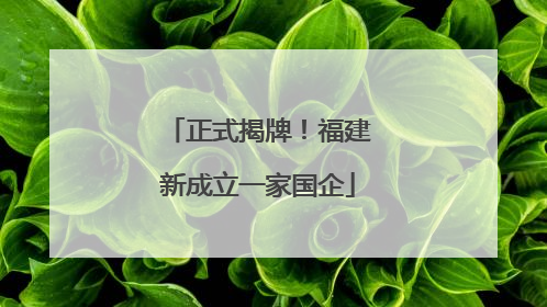 正式揭牌！福建新成立一家国企