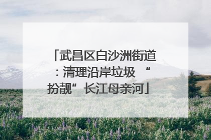 武昌区白沙洲街道：清理沿岸垃圾 “扮靓”长江母亲河