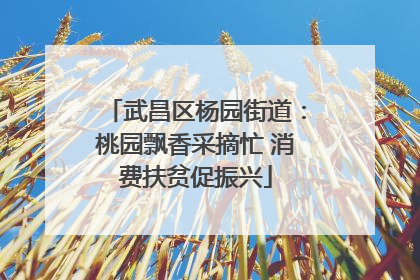 武昌区杨园街道：桃园飘香采摘忙 消费扶贫促振兴