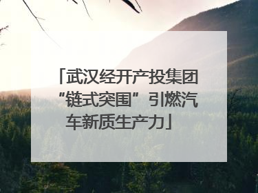 武汉经开产投集团“链式突围”引燃汽车新质生产力