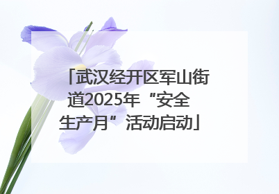 武汉经开区军山街道2025年“安全生产月”活动启动