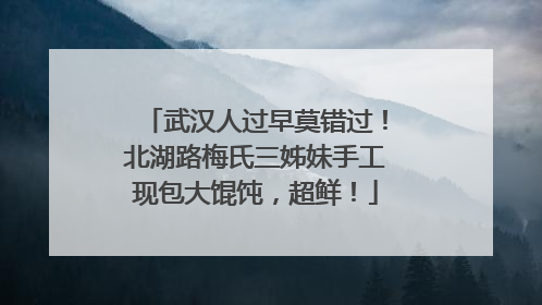 武汉人过早莫错过！北湖路梅氏三姊妹手工现包大馄饨，超鲜！