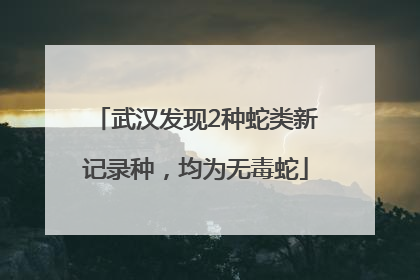 武汉发现2种蛇类新记录种，均为无毒蛇