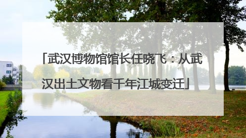 武汉博物馆馆长任晓飞：从武汉出土文物看千年江城变迁