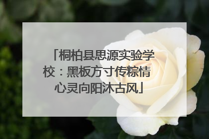 桐柏县思源实验学校：黑板方寸传粽情 心灵向阳沐古风