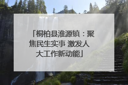 桐柏县淮源镇：聚焦民生实事 激发人大工作新动能
