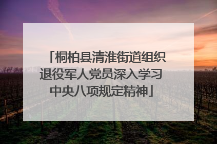桐柏县清淮街道组织退役军人党员深入学习中央八项规定精神