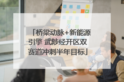 桥梁动脉+新能源引擎 武陟经开区双赛道冲刺半年目标