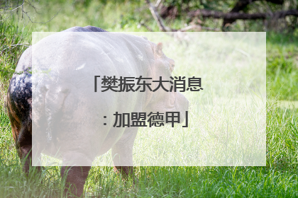 樊振东大消息：加盟德甲