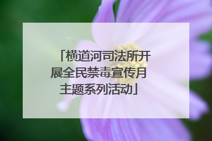 横道河司法所开展全民禁毒宣传月主题系列活动