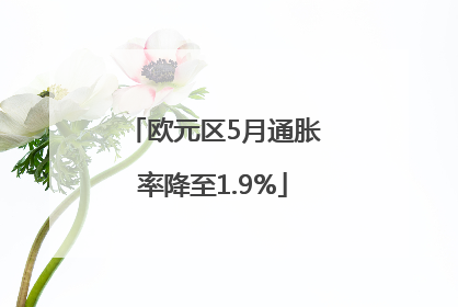 欧元区5月通胀率降至1.9%