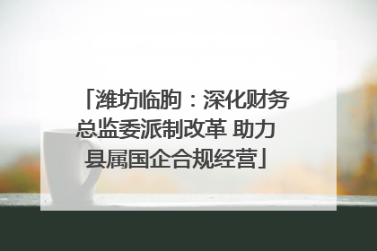 潍坊临朐：深化财务总监委派制改革 助力县属国企合规经营