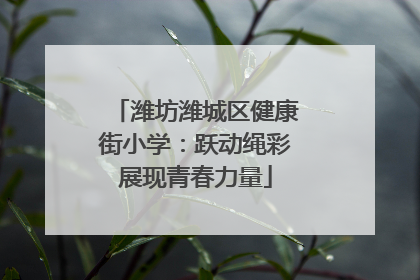 潍坊潍城区健康街小学：跃动绳彩展现青春力量