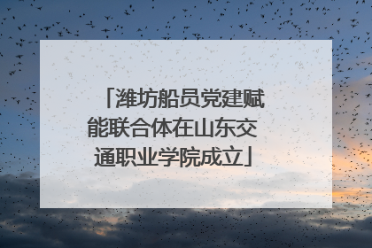 潍坊船员党建赋能联合体在山东交通职业学院成立
