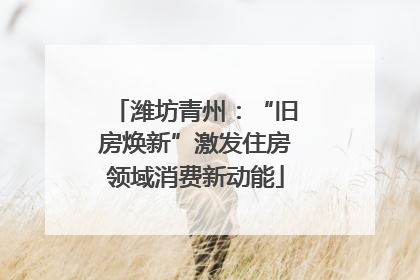 潍坊青州：“旧房焕新”激发住房领域消费新动能