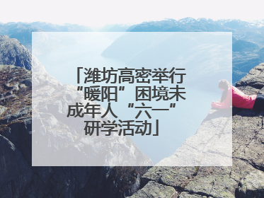 潍坊高密举行“暖阳”困境未成年人“六一”研学活动
