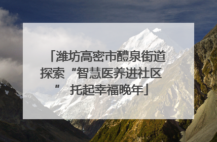 潍坊高密市醴泉街道探索“智慧医养进社区” 托起幸福晚年