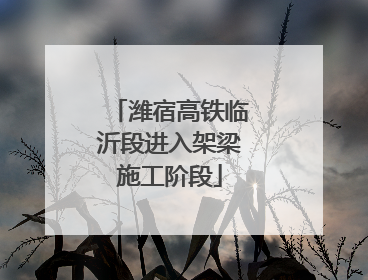 潍宿高铁临沂段进入架梁施工阶段